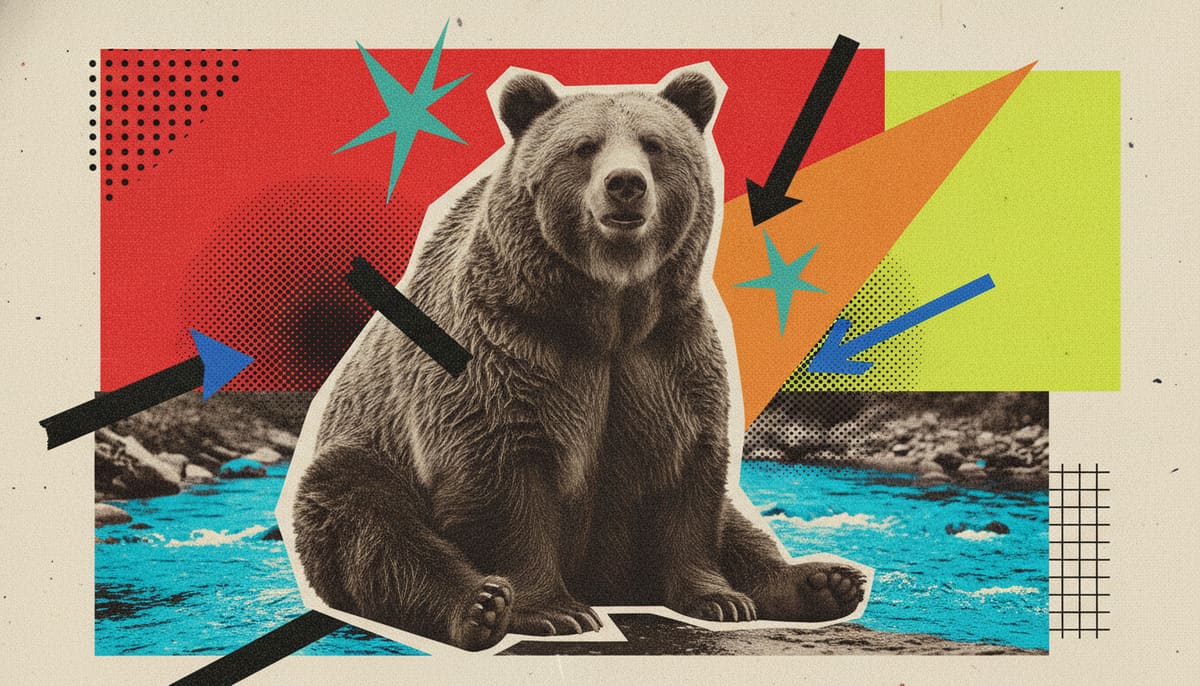 Meet Backpack: The Champion of Fat Bear Week!