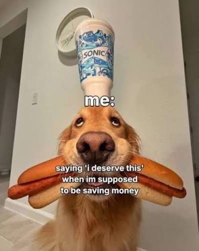 Meme of the day