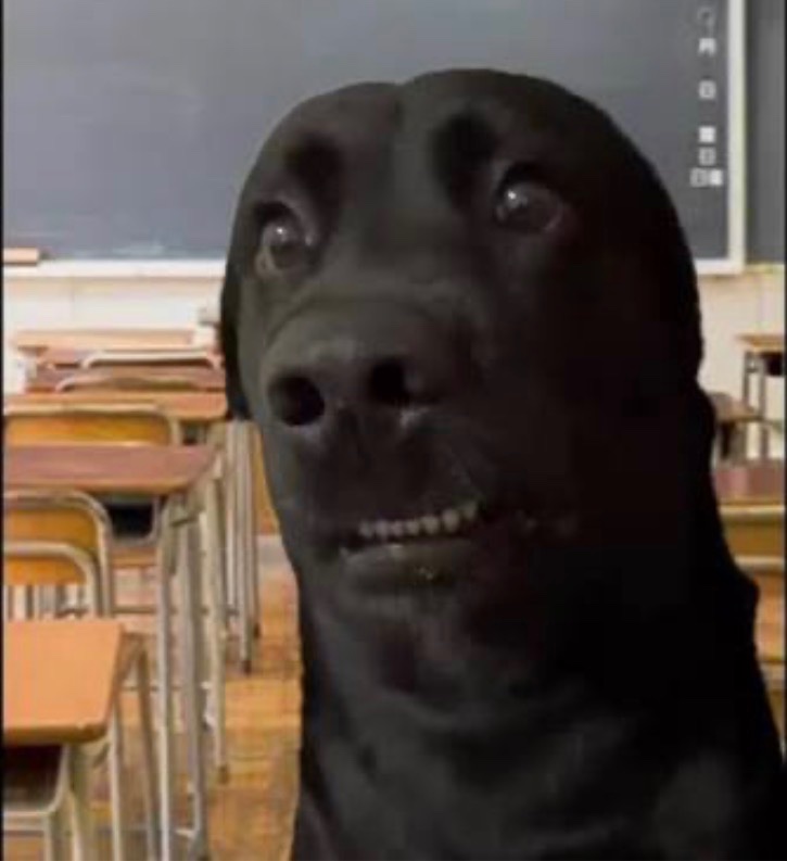 “Pop quiz time”